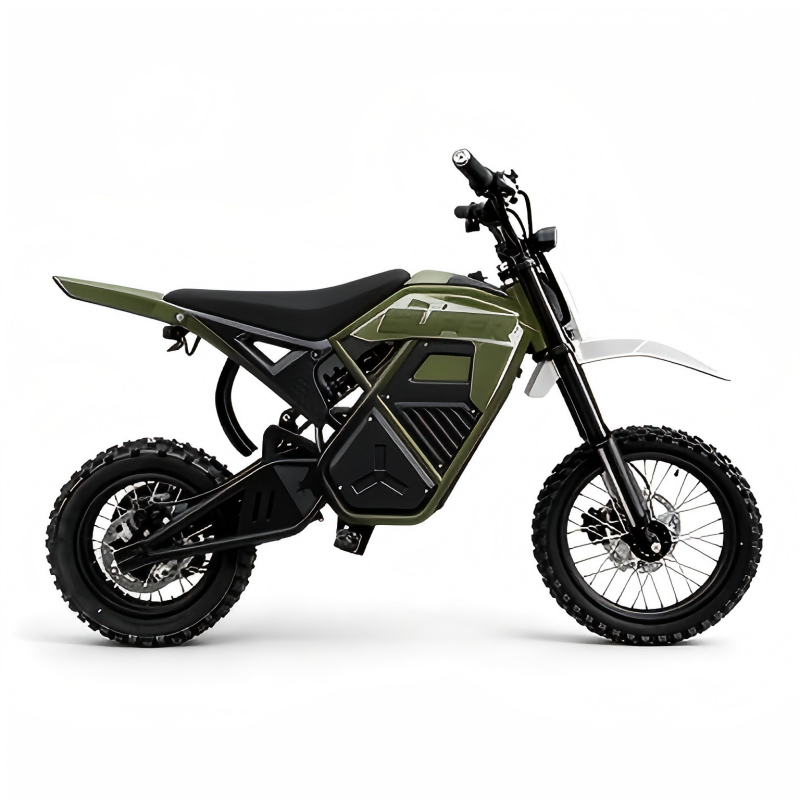 Electric dirt bike handle controls