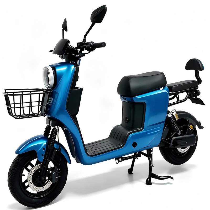 Electric Bike Details