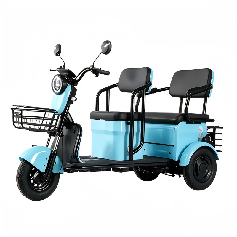 2-Seater Electric Tricycle view 1