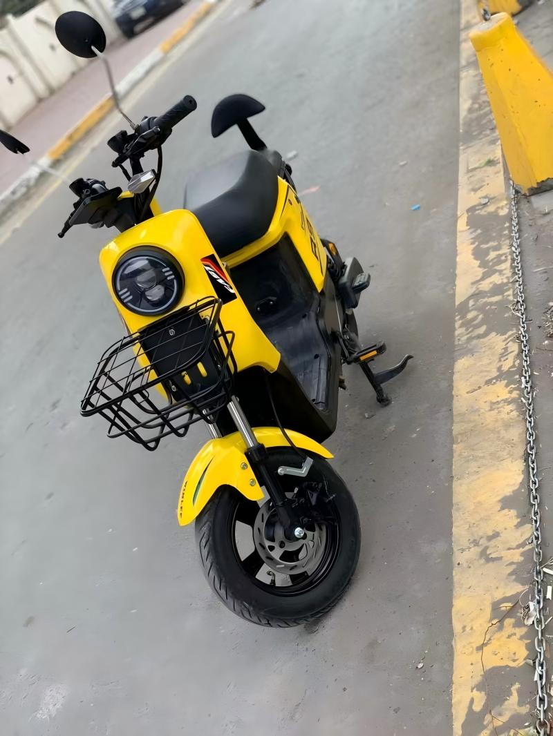R9 cargo electric scooter double seat details