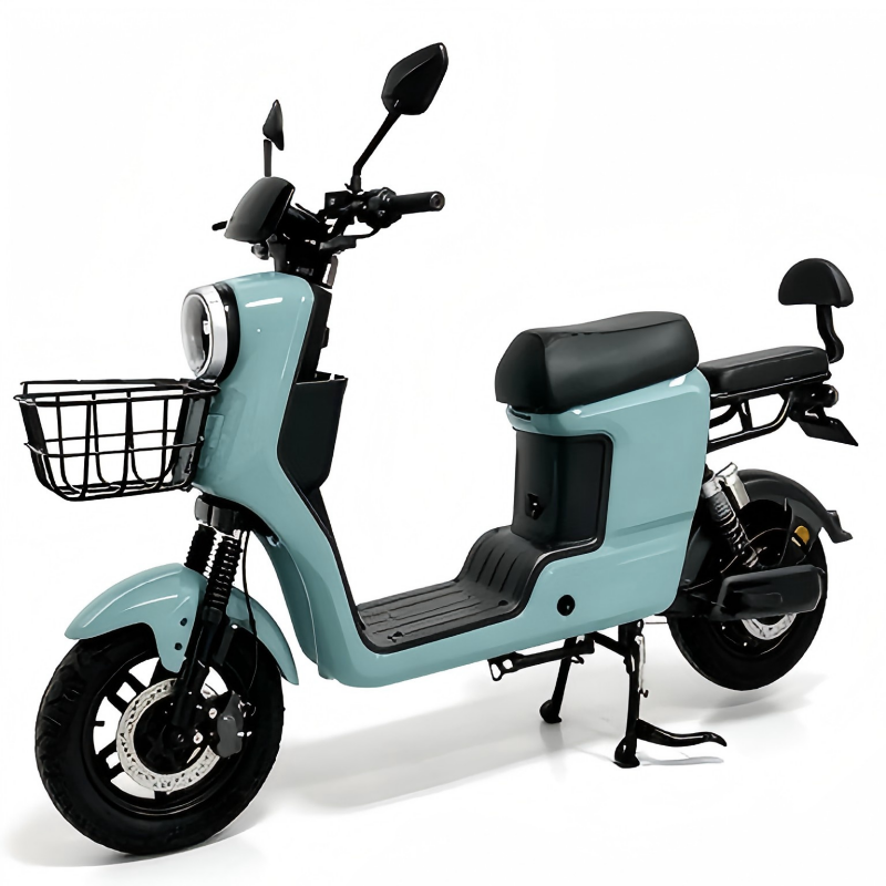 Electric Bike Details