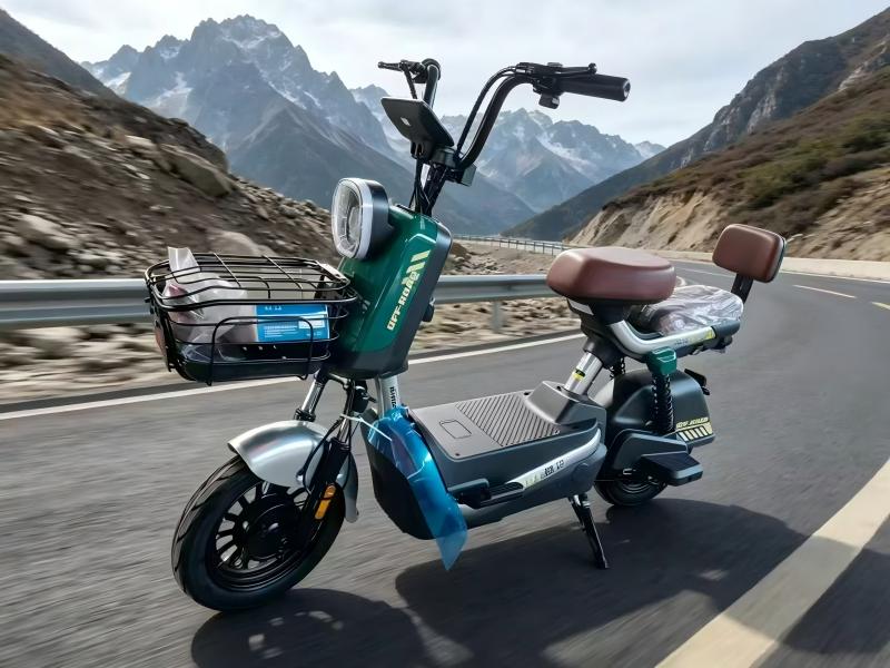 Electric Scooter Image 2