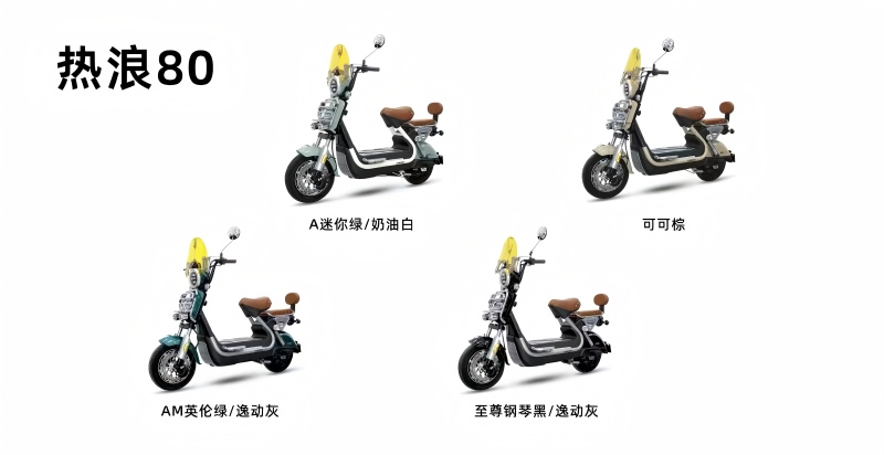 Electric Scooter Details 1