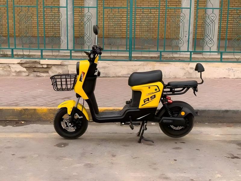 R9 cargo electric scooter back view