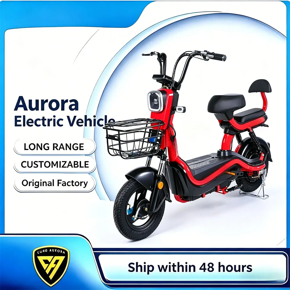 High-Quality Safe & Comfortable Dual-seat Electric Bike Manufacturers, Factories
