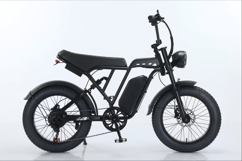 Electric Bike Details 15