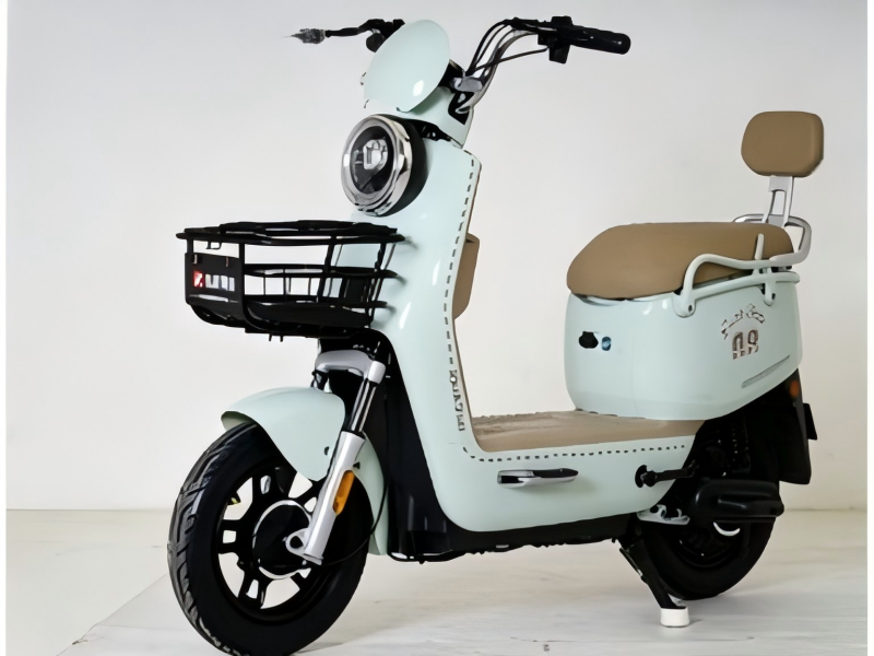 Electric Bike View 5