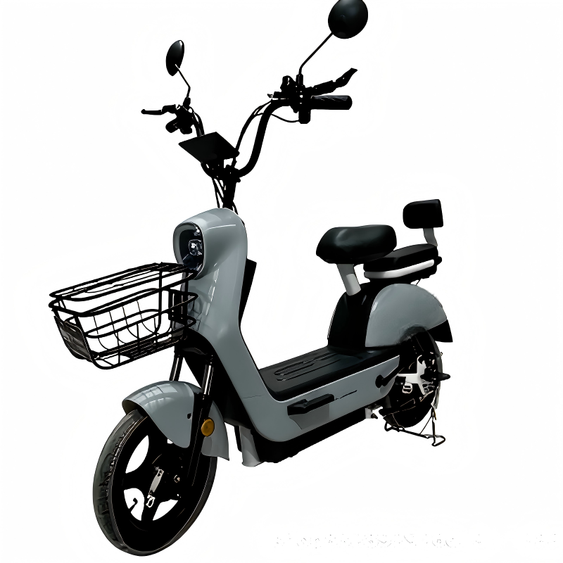 Electric Scooter Detail 1