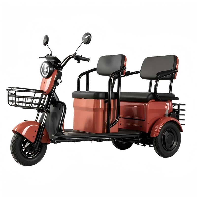 2-Seater Electric Tricycle view 2