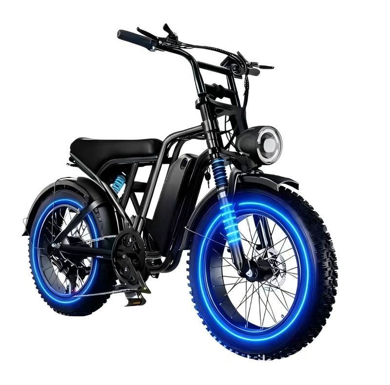 Electric Bike Details 4