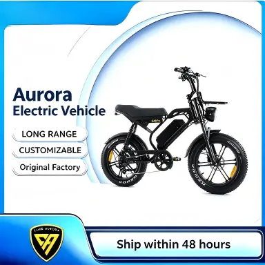 ODM Suspension Off Road Fat Wheel E-bike Manufacturer, Manufacturers