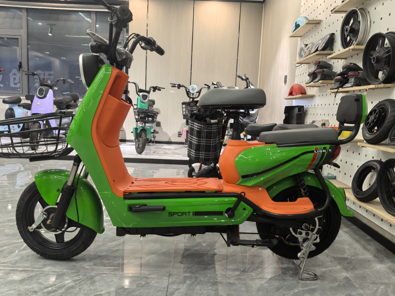 Dual Seat Lithium E-Bike Design