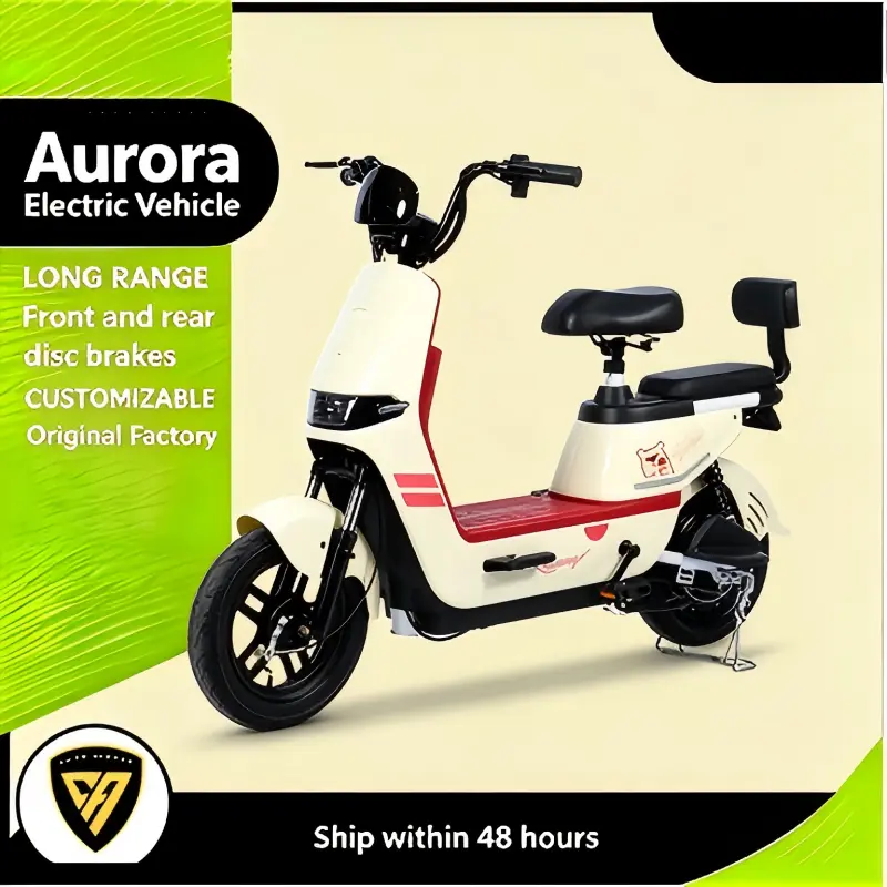 China Colorful Pony Safe Adult Travel E-bike Suppliers, Factory