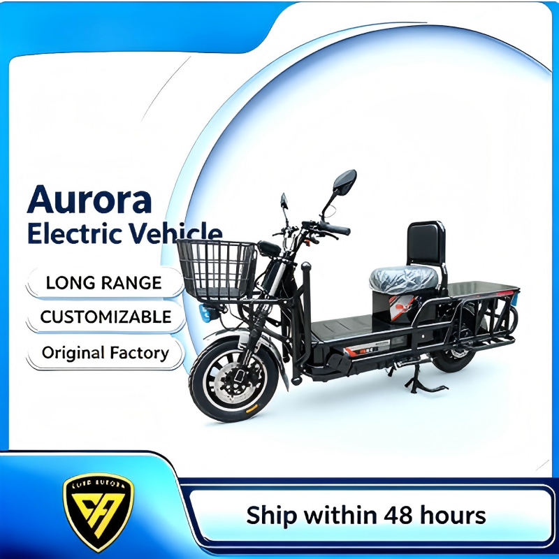 Heavy Load Cargo Electric Scooter