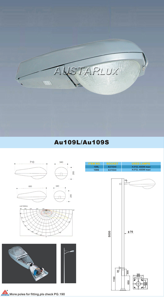 AU109L luminaire
