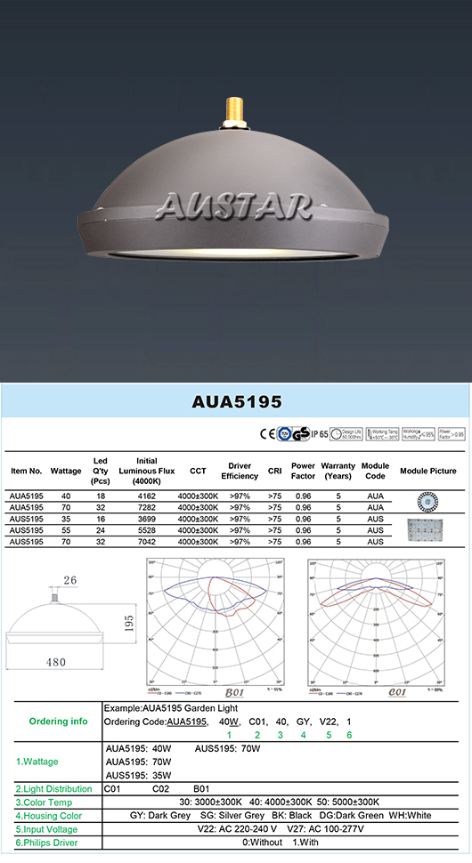 Professional lighting fixture installation and design presentation