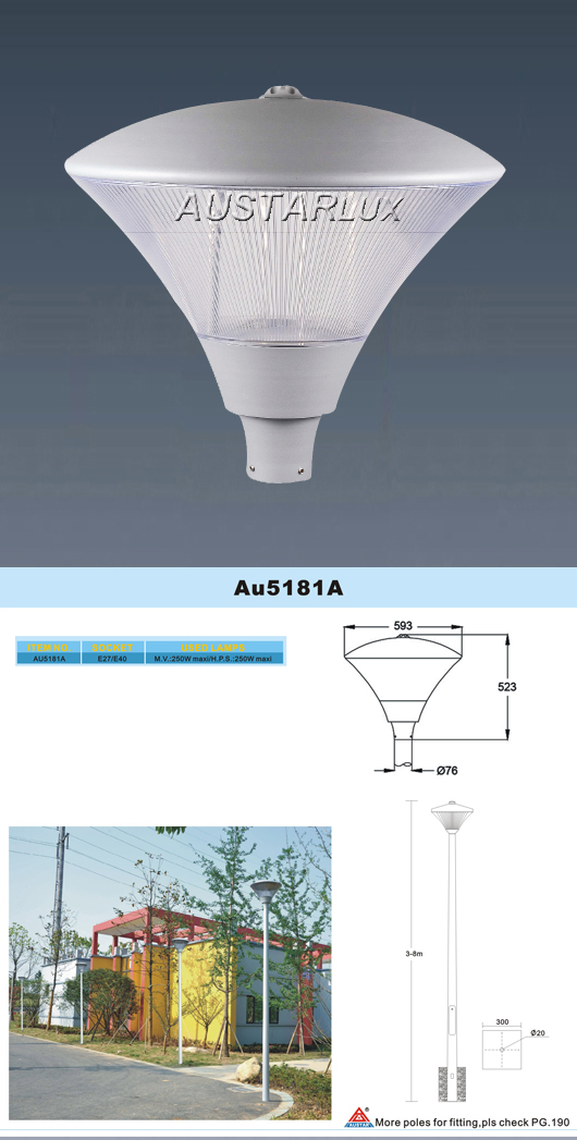 AU5181A Luminaire