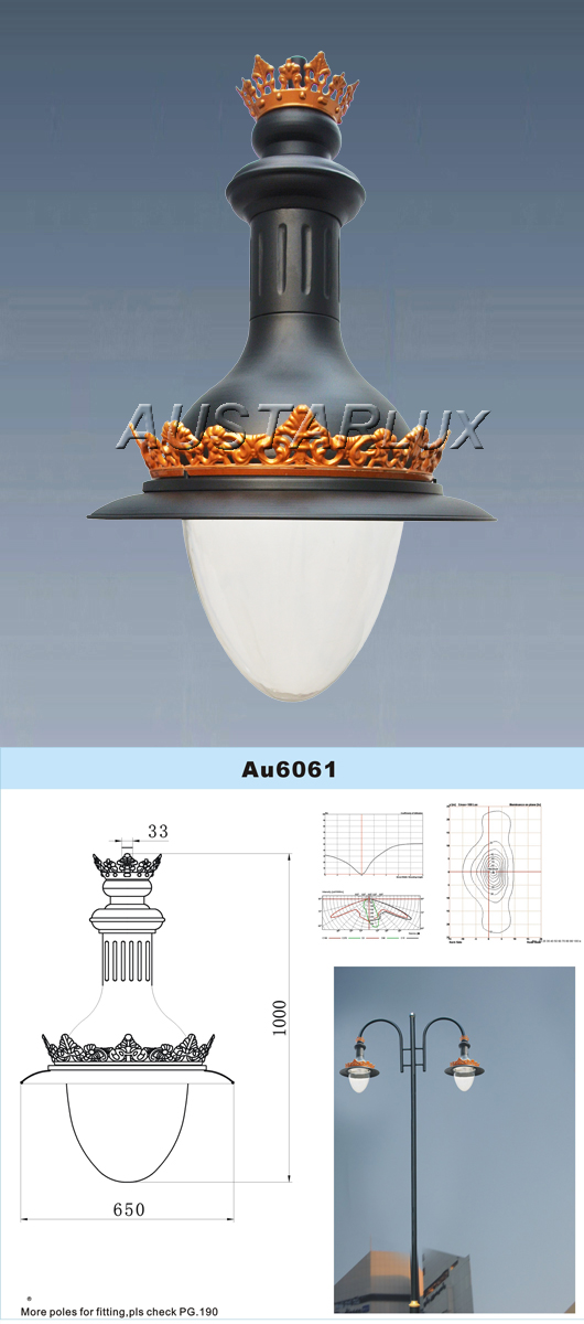 AU6061 Luminaire Details