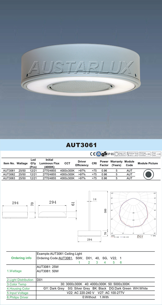 Professional Lighting Fixture Detail