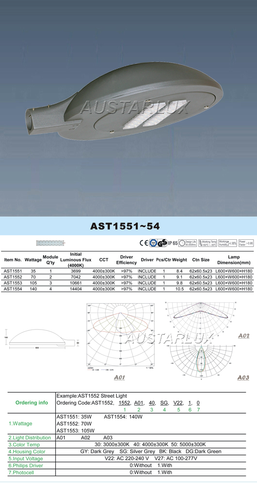AST Series LED Street Light