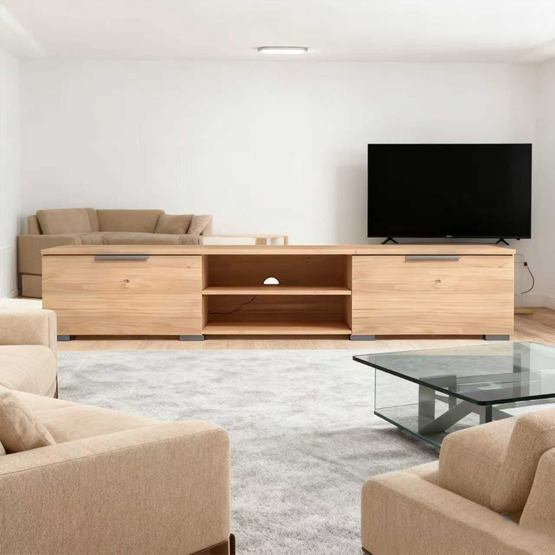 Stylish Modern TV Media Console with Storage Solutions