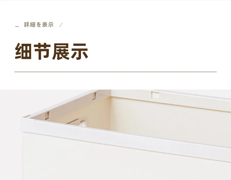 Storage Organizer 21