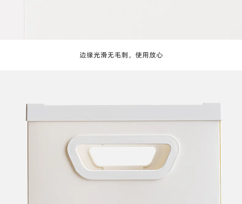 Storage Organizer 22