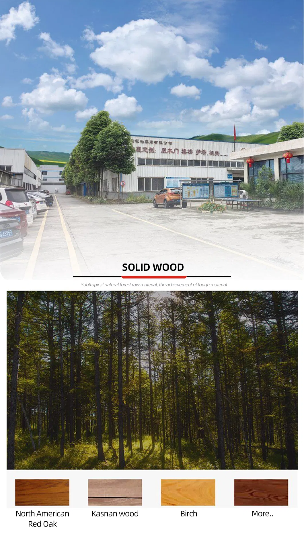 Kitchen Cabinet Design