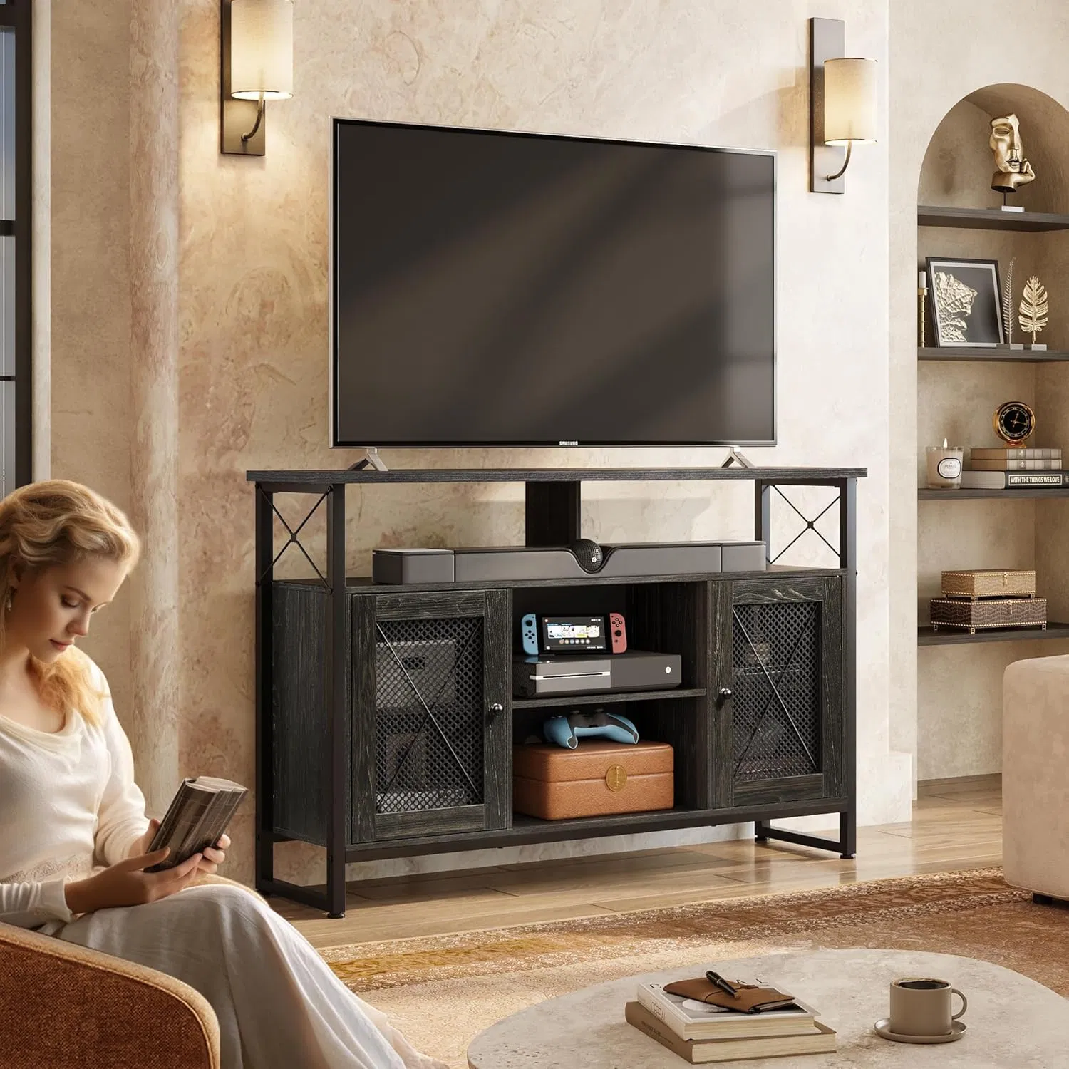 Black Metal Net Door Design Industrial TV Console for Bedroom Living Room