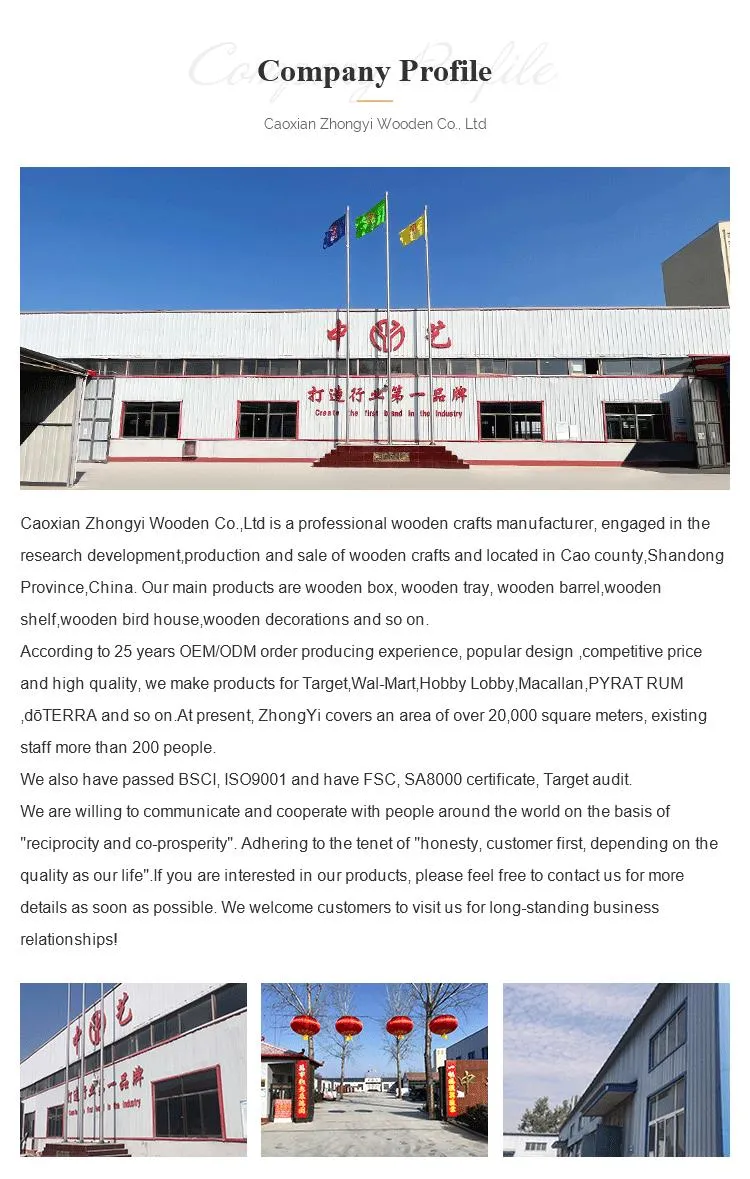 Company Profile Overview