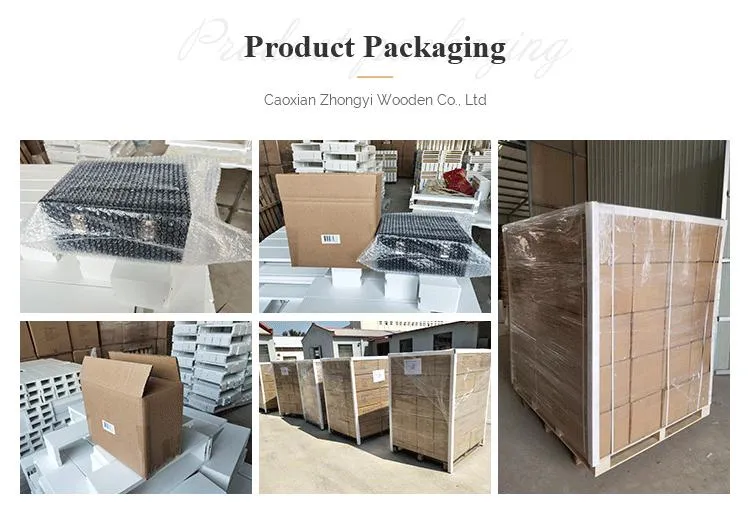 Packaging and Shipping Process