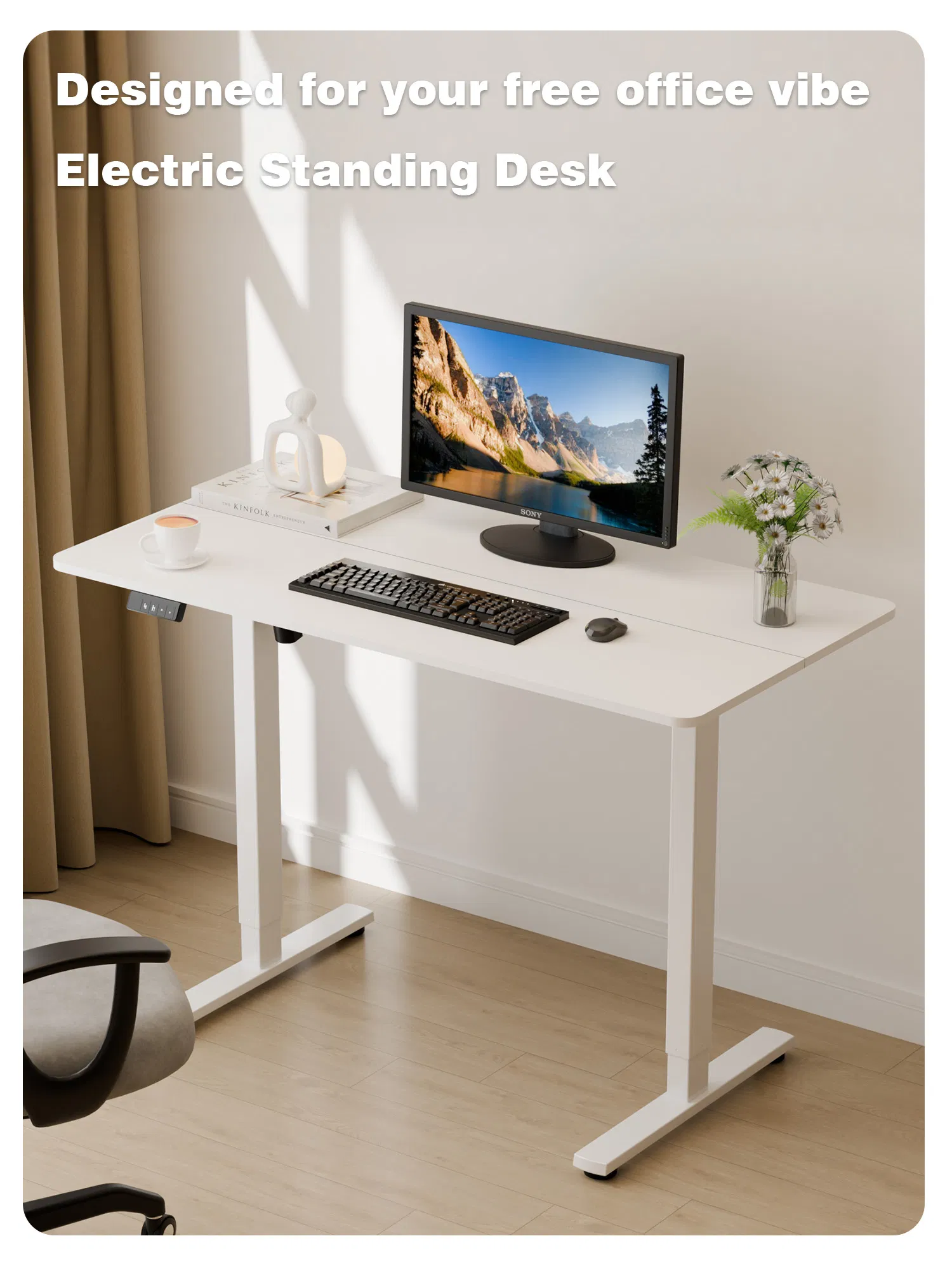 Electric Sit-Stand Desk Overview