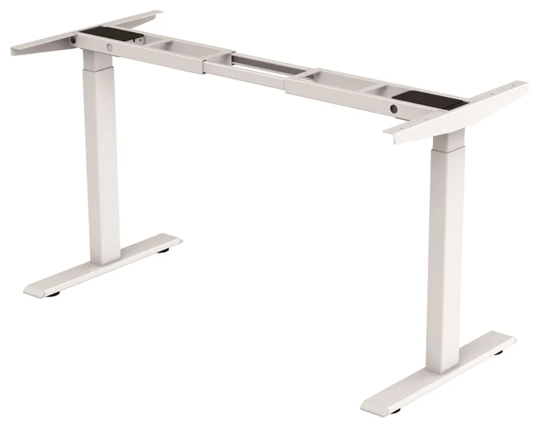 Modern Design Standing Desk