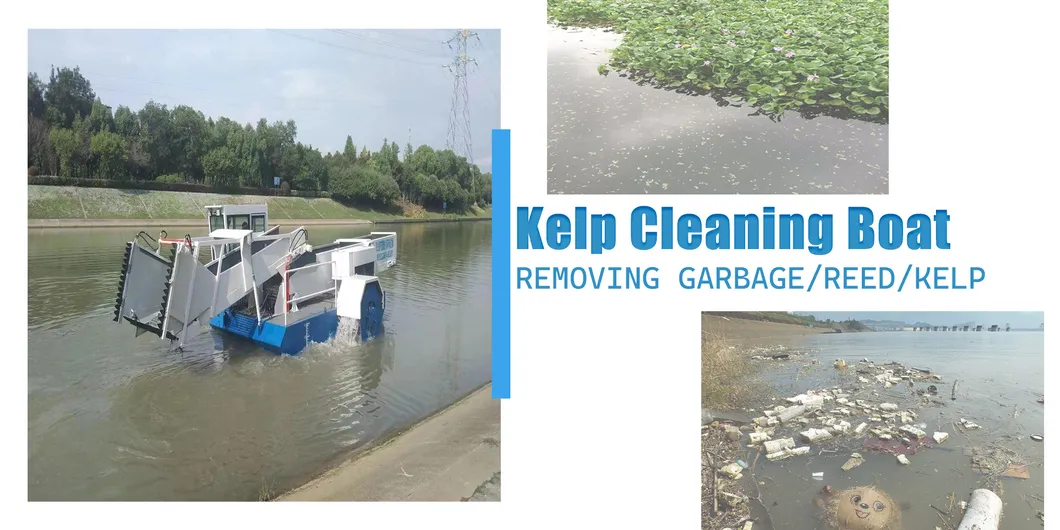 Aquatic Weed Skimming Equipment