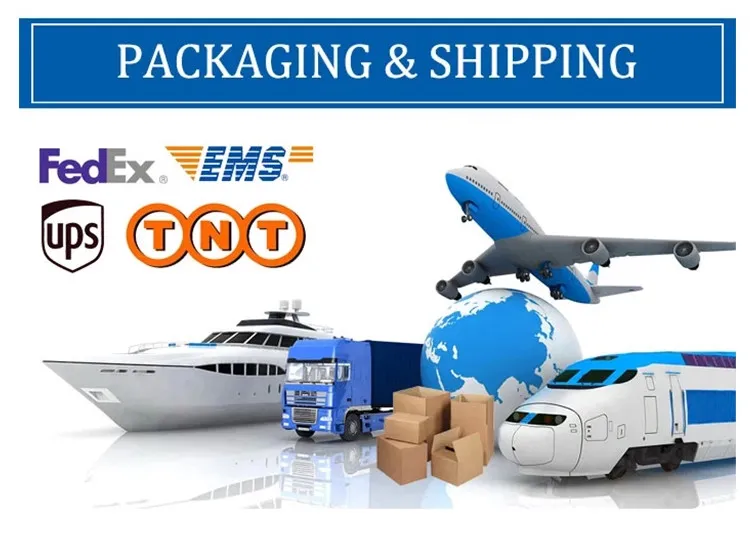 Shot Blasting Equipment 6