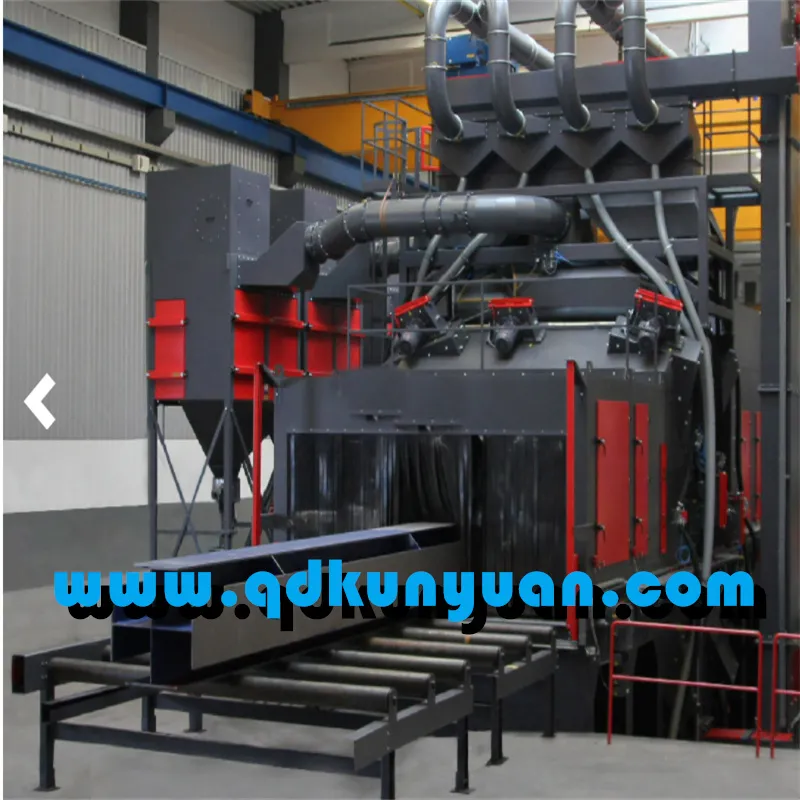 Roller Conveyor Shot Blasting Machine 4