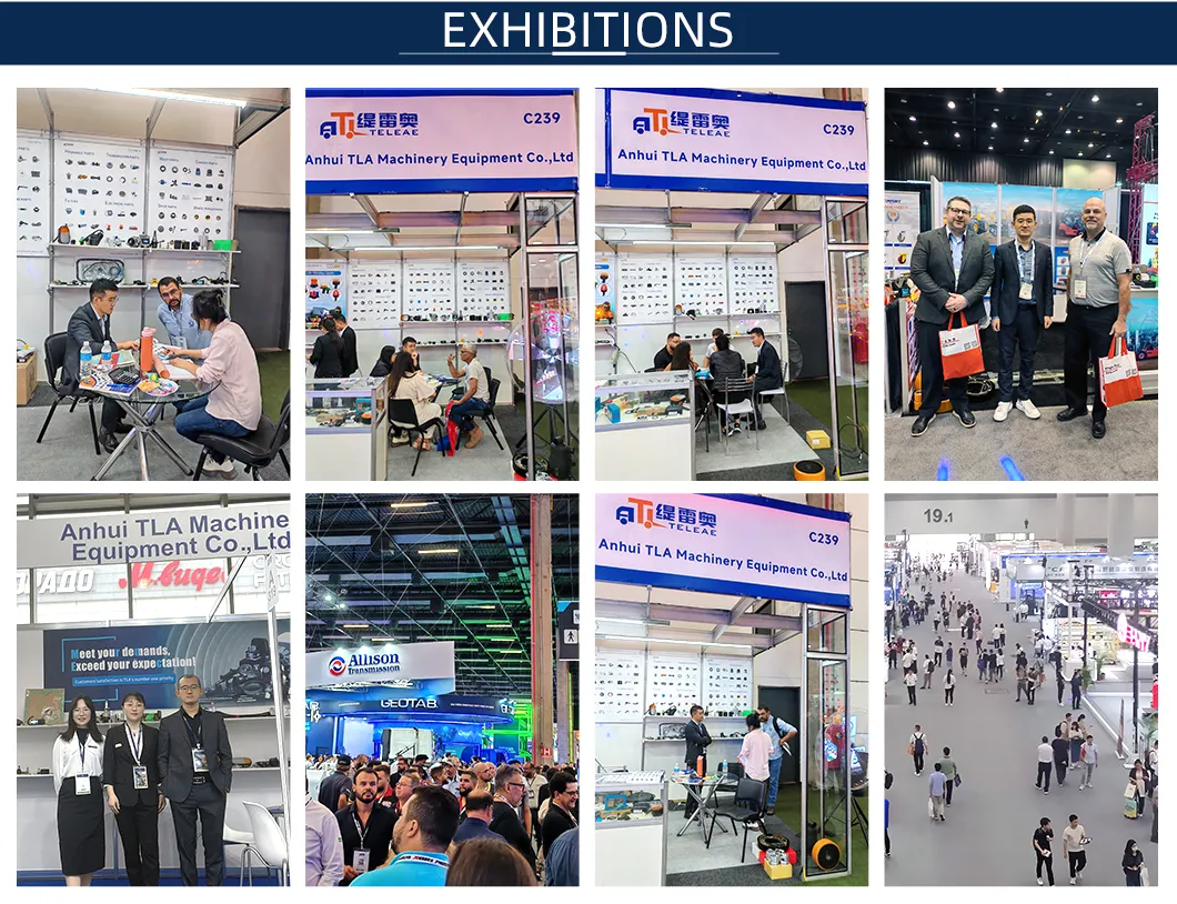 Exhibition Participation