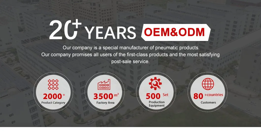 Industrial Pneumatic Component