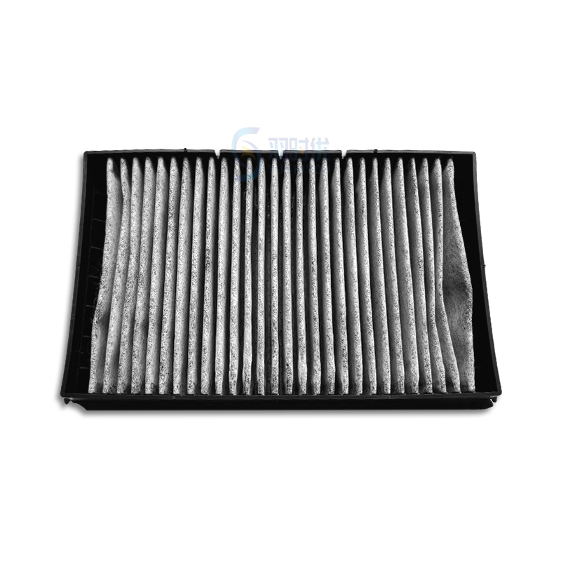 Car Filters OE 1953595 High Efficiency Cabin Air Filter for Trucks and Suvs