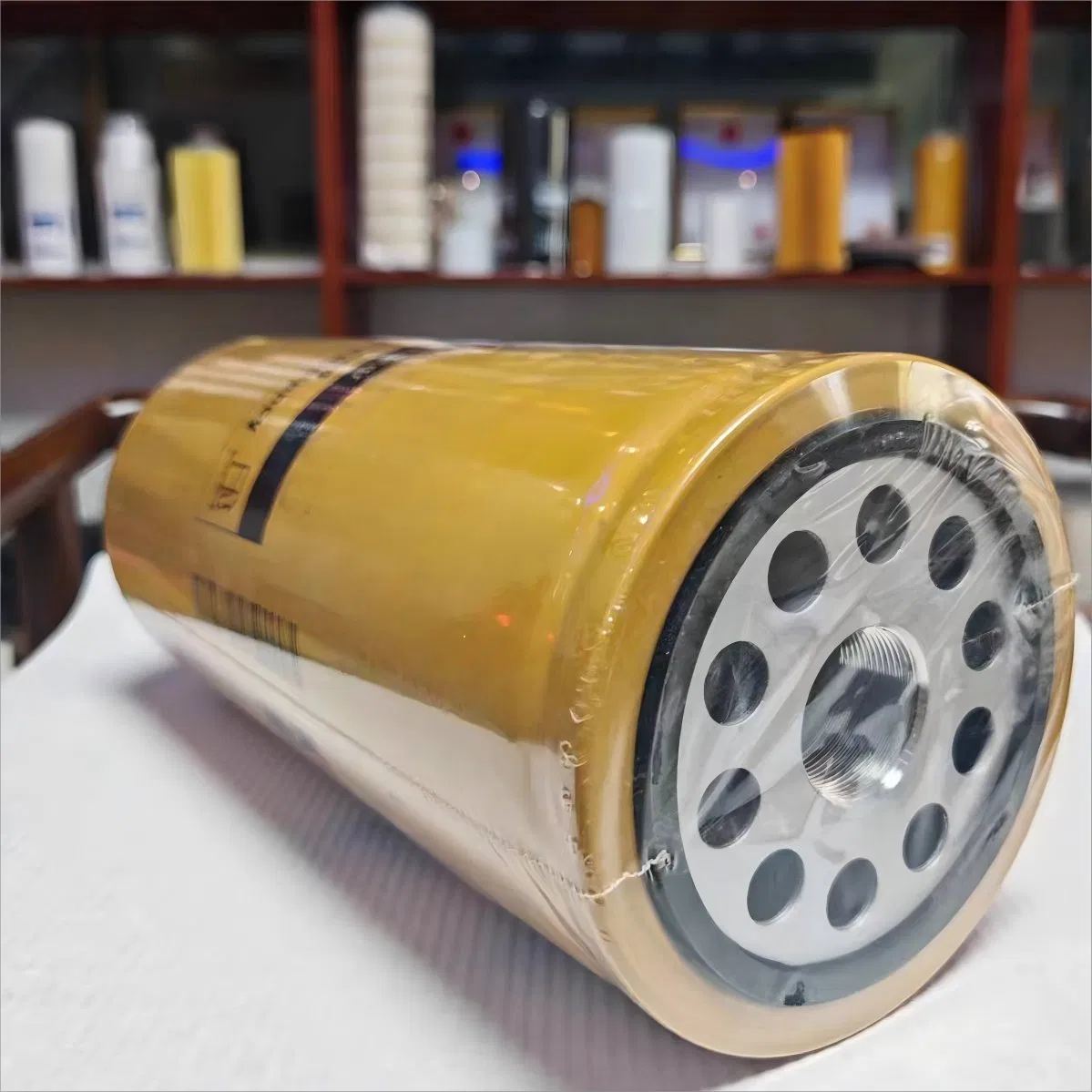 Filter Element Used for Excavators/Auto Parts/Engine Parts/High Performance and Durable Oil Filter Air Filter Diesel Filter Pilot Filter 10755