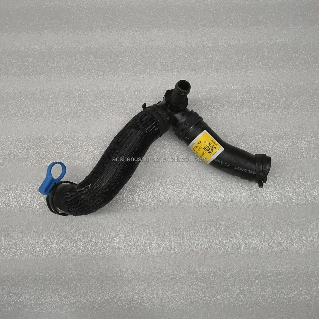 Radiator Hose Detail 2