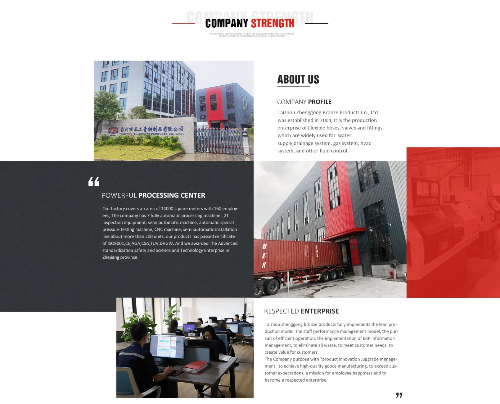 Flexible Gas Hose View 1