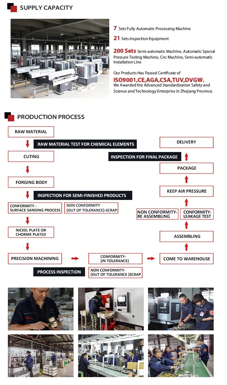 Flexible Gas Hose View 3
