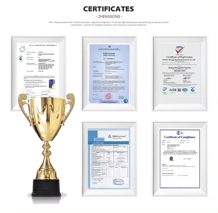 Flexible Gas Hose View 4