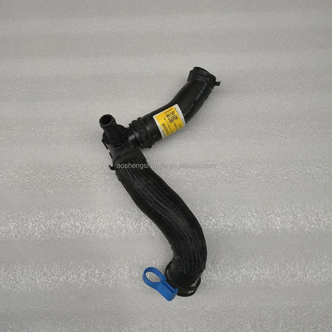 Radiator Hose Detail 3