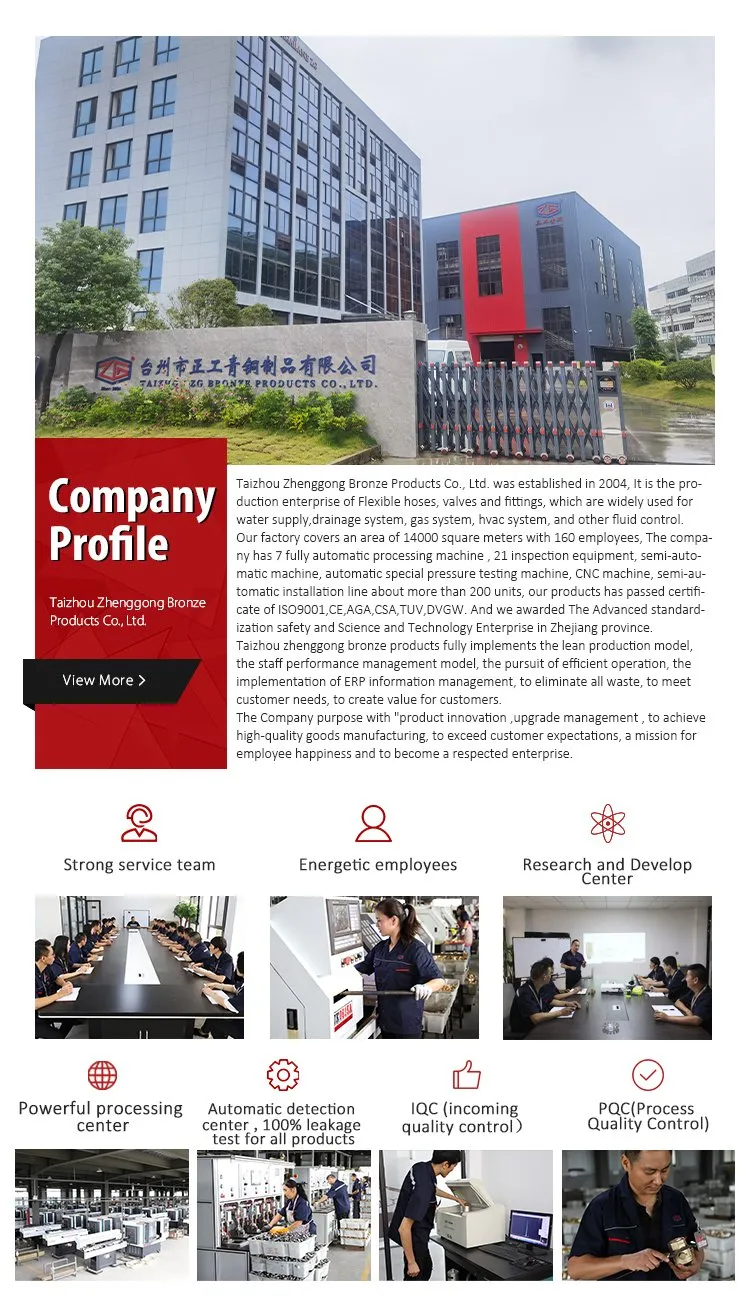 Flexible Gas Hose View 2