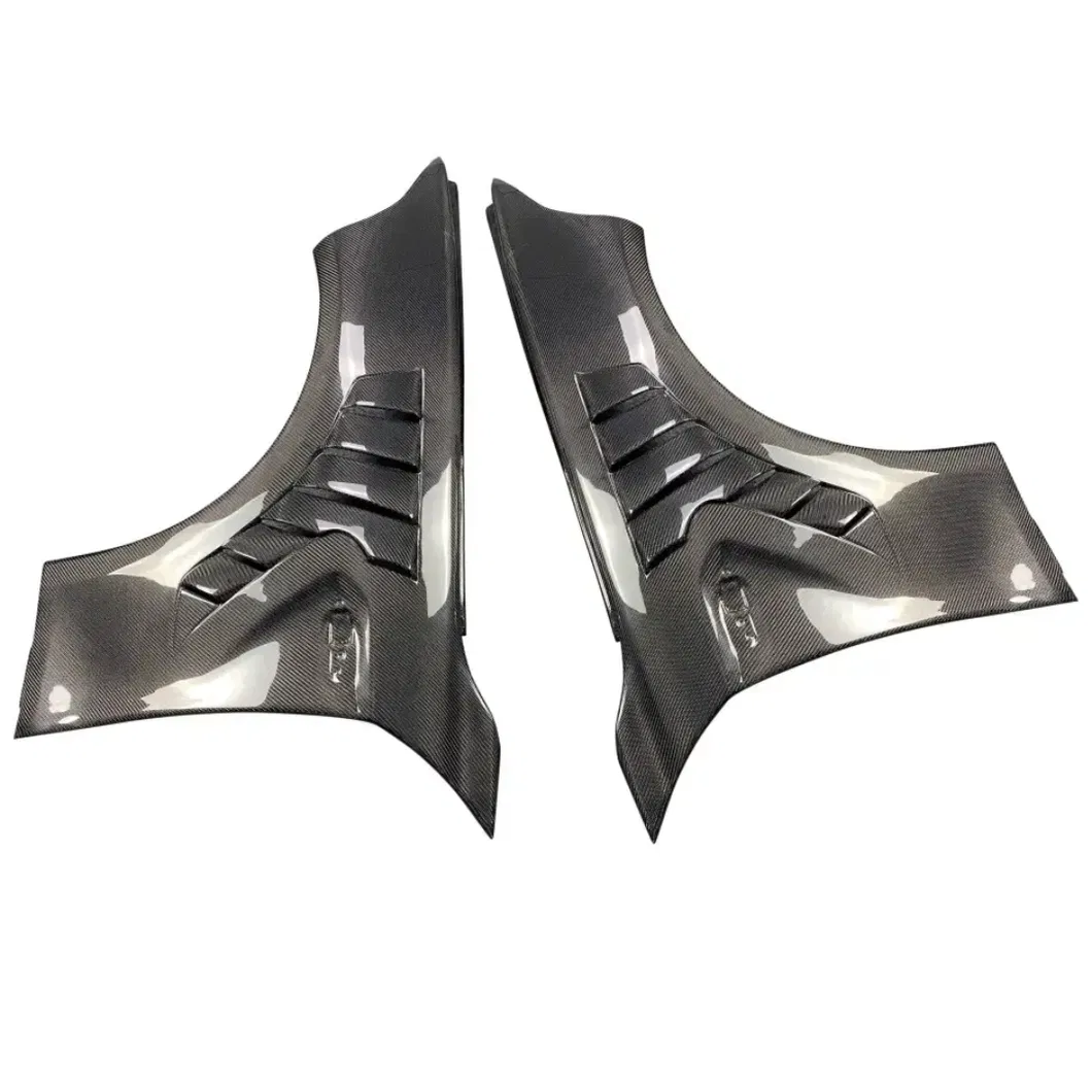 Dry Carbon Fiber Fender