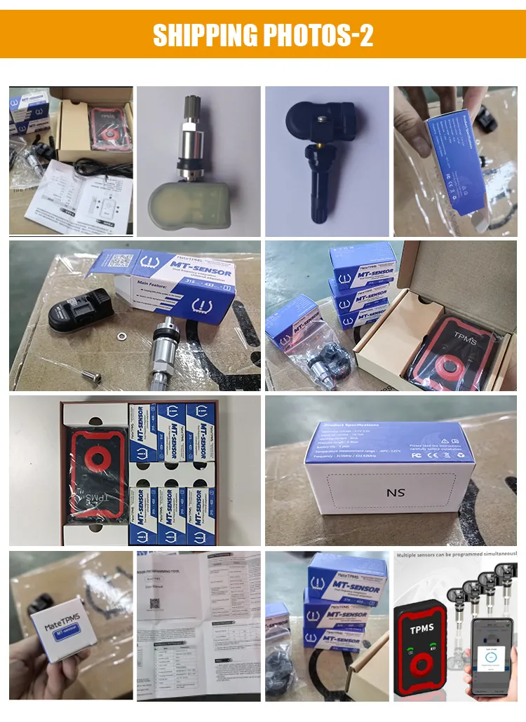 TPMS Sensor 8