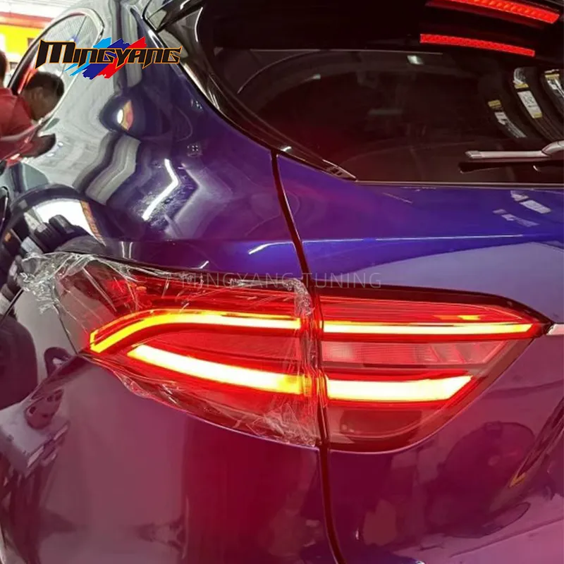 Taillight Detail