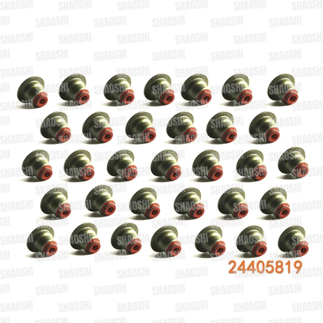Oil Seal Gallery 1